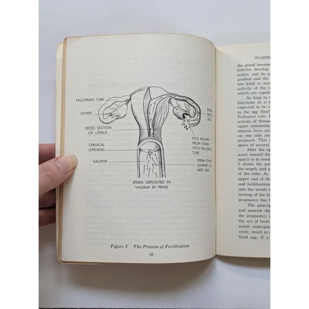 Vintage 'A Doctor Discusses Menopause' Booklet 1950's Housewife Sex Education